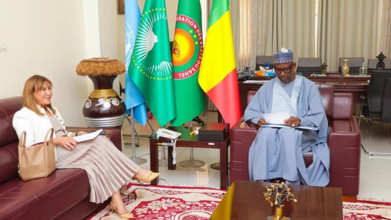 Mali: Abdoulaye Diop reçoit les nouveaux représentants de la BAD et du Système des Nations Unies