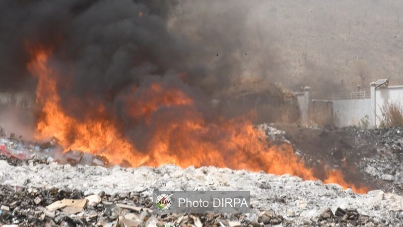 Lutte contre le trafic de drogues : L’OCS détruit plus de 43 tonnes de produits illicites à Dio-Gare