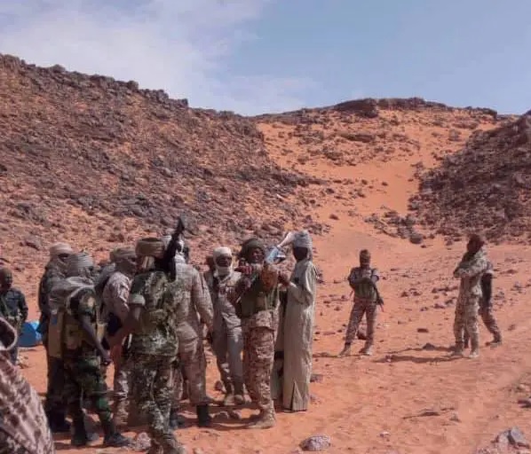 Tchad : quatre officiers tués dans une attaque de coupeurs de route