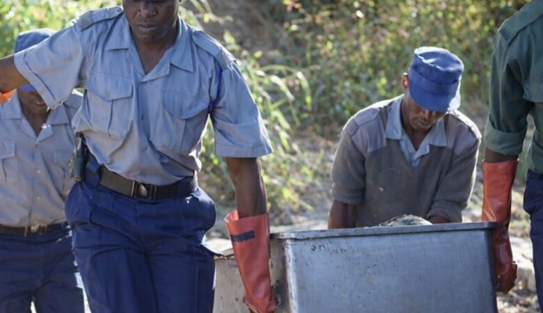 Un père t.ue son fils après avoir été surpris au lit avec sa belle-fille