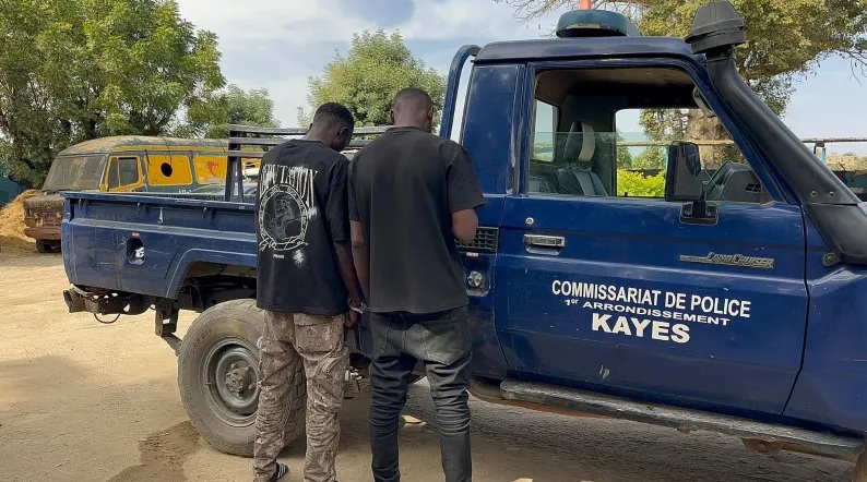 Kayes Benkounda : Deux dealers arrêtés en possession d’une quantité importante de chanvre indien