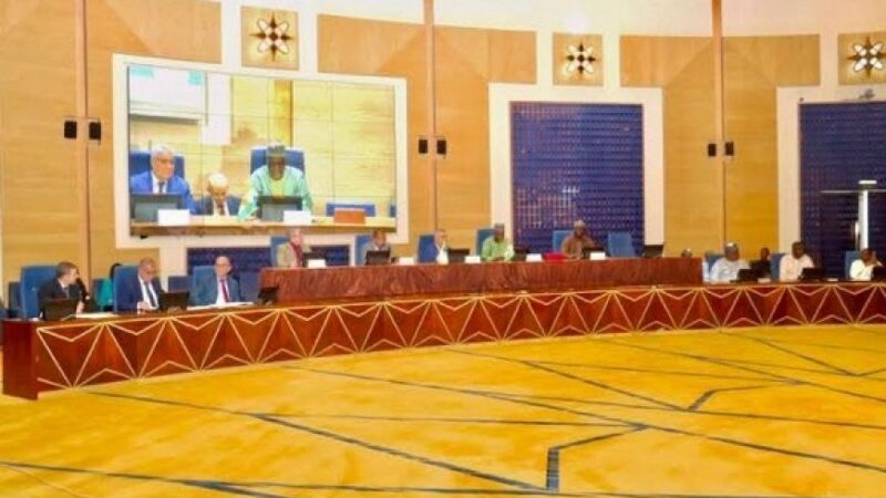 Commission mixte Niger-Algérie : Un cadre de coopération qui interroge l’AES