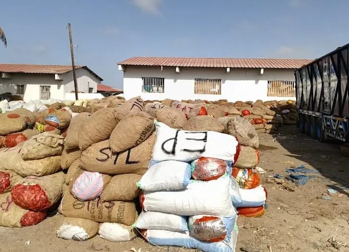 Sénégal : plus de 2 500 sacs de produits issus de juvéniles saisis