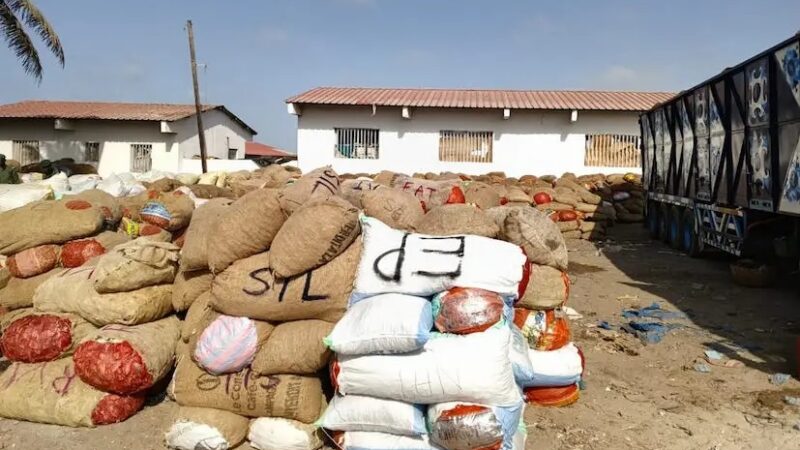 Sénégal : plus de 2 500 sacs de produits issus de juvéniles saisis