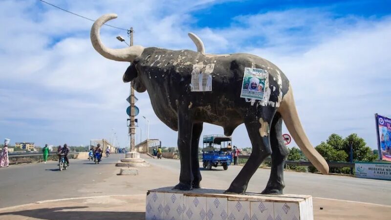 Région de Kayes : de la ruse pour se déplacer