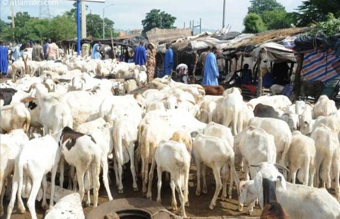 Impératifs sécuritaires à Bamako : Après le Ramadan, les parcs à bétail délocalisés vers la périphérie
