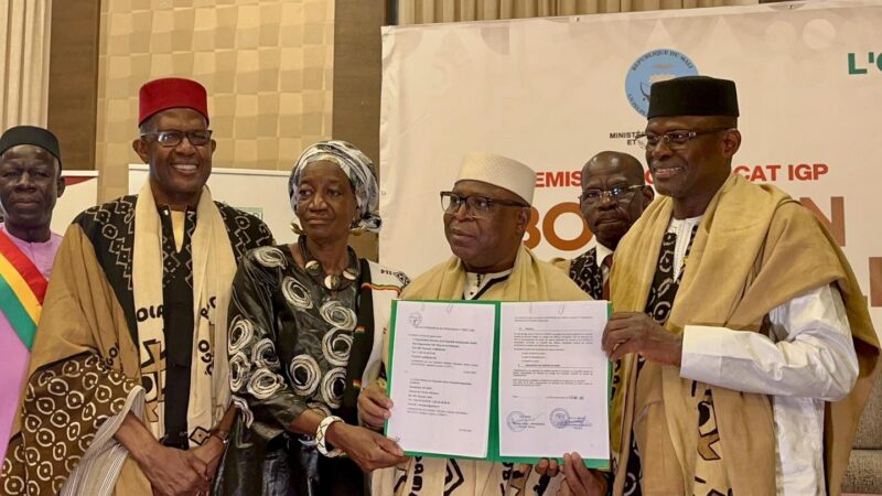 RECONNAISSANCE HISTORIQUE DU BOGOLAN : LE MALI CONSACRE UN PATRIMOINE ET OUVRE DE NOUVELLES PERSPECTIVES ÉCONOMIQUES