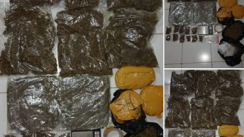 Bamako : l’OCS saisit 5 kilogrammes de Kush à Daoudabougou
