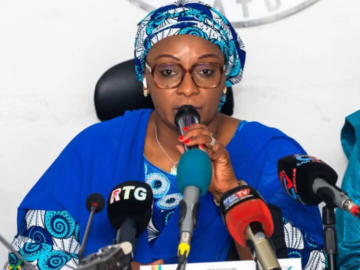 Guinée : 21 partis provisoirement retenus pour les législatives du 31 mai