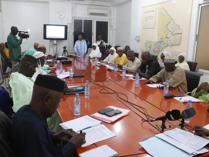 1er Comité de pilotage du Mali-NSS !