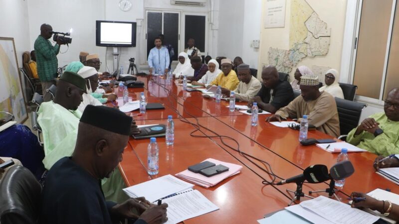 1er Comité de pilotage du Mali-NSS !