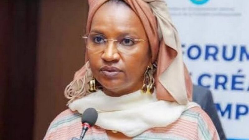 Insertion socio- professionnelle au Mali : Le Programme PartICIP certifie 205 jeunes