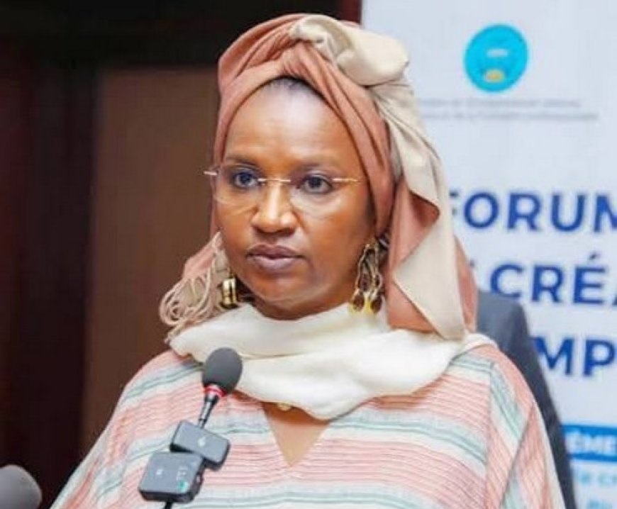 Insertion socio- professionnelle au Mali : Le Programme PartICIP certifie 205 jeunes