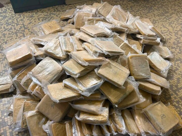 Lutte contre le trafic de drogue : 170 kg de Skunk saisis par l&rsquo;OCS à Missabougou
