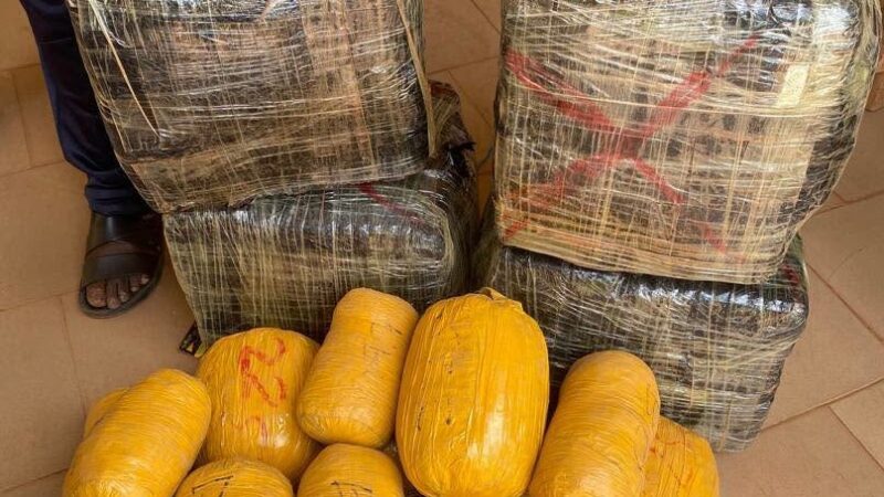 Koutiala : les douanes saisissent plus de 100 000 comprimés contrefaits et du cannabis à Sincina
