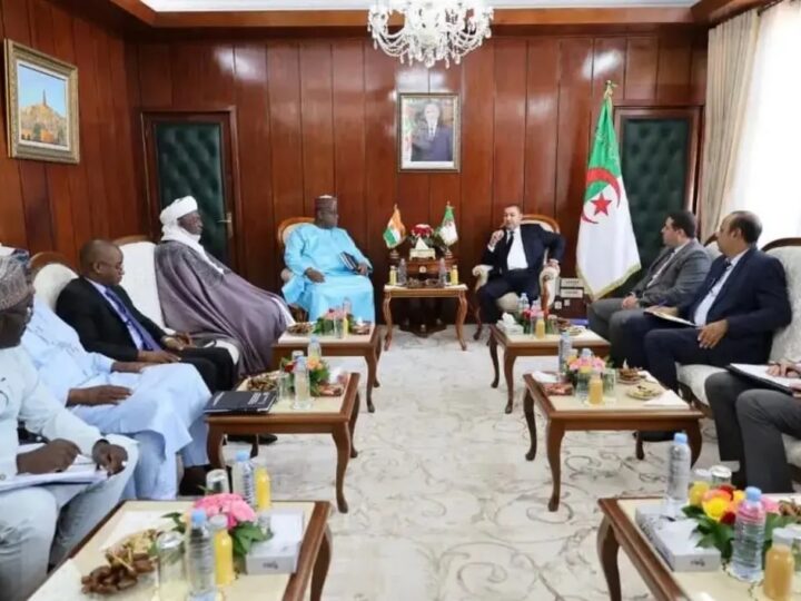 Niger–Algérie : Alger et Niamey renforcent leur coopération bilatérale