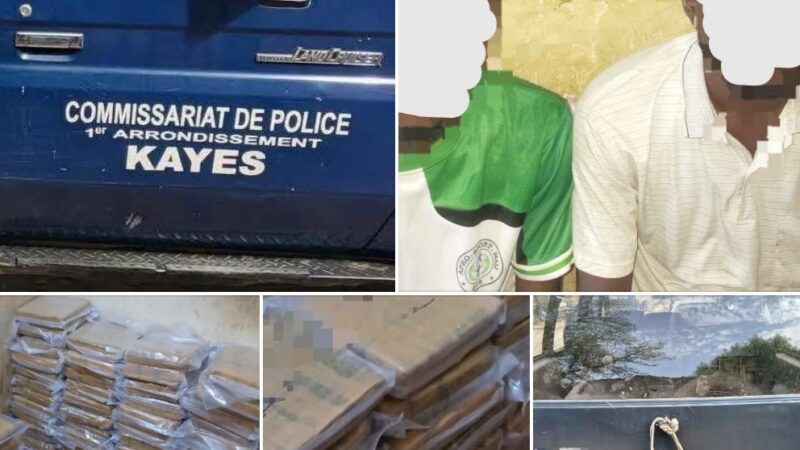 Kayes : 98 briques de chanvre indien saisies, deux suspects interpellés