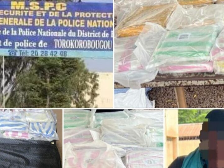 Bamako : un suspect interpellé avec 30 briques de chanvre indien à Faladié