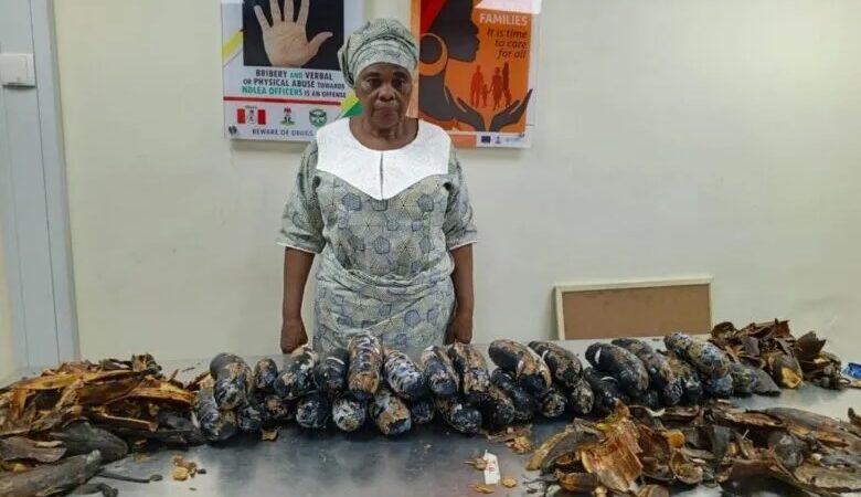 Une grand-mère arrêtée avec 13 kg de cocaïne dissimulés dans des pelures de plantain (vidéo)