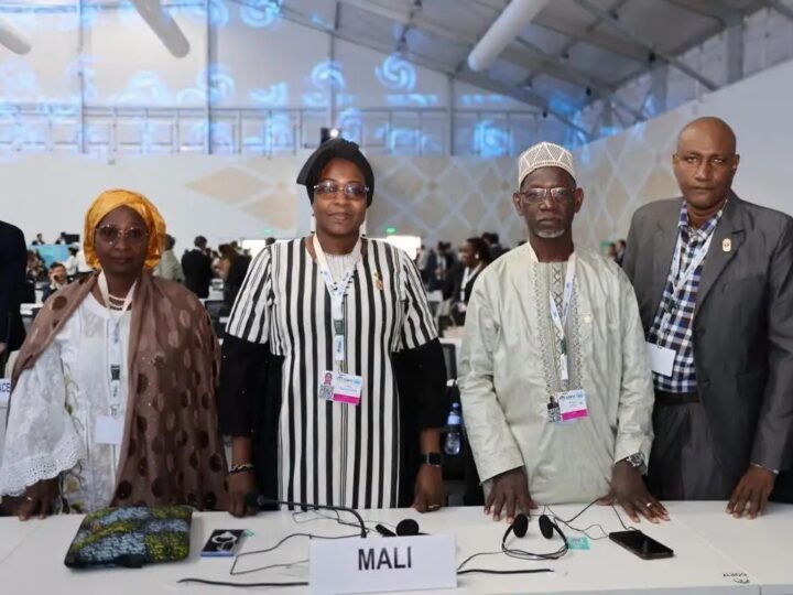 COP17 à Oulan-Bator : le Mali appelle à changer d’échelle dans le financement de la restauration des terres