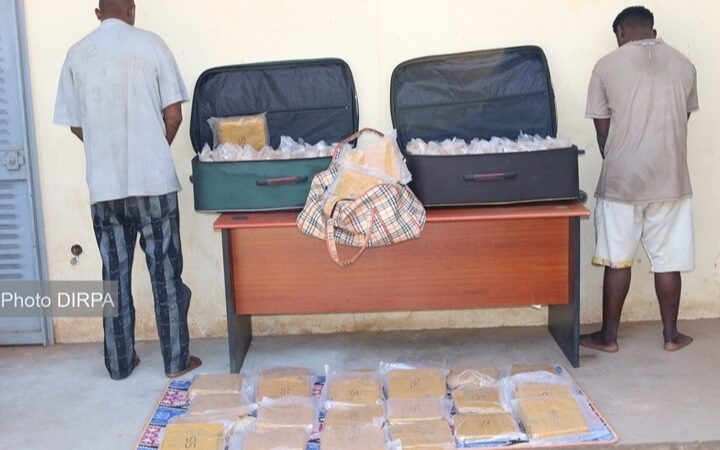 Kayes : 100 briques de chanvre indien saisies par la gendarmerie