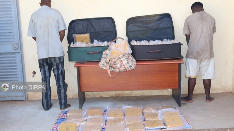 Kayes : 100 briques de chanvre indien saisies par la gendarmerie