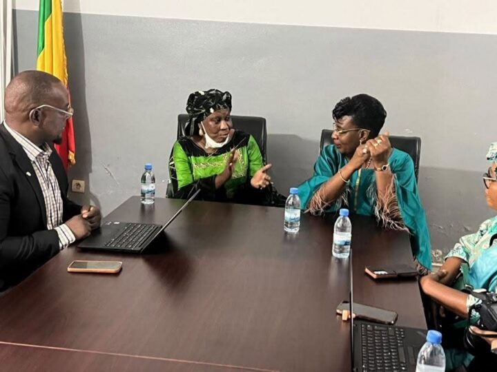 Coopération : Visite d’aurevoir de la Représentante Résidente d’ONU Femmes Mali à la CNDH