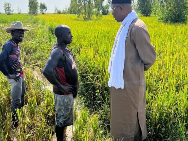 Office du Niger: Visite de terrain inopinée du PDG à M’Bewani