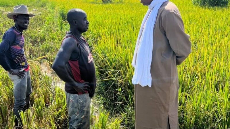 Office du Niger: Visite de terrain inopinée du PDG à M’Bewani
