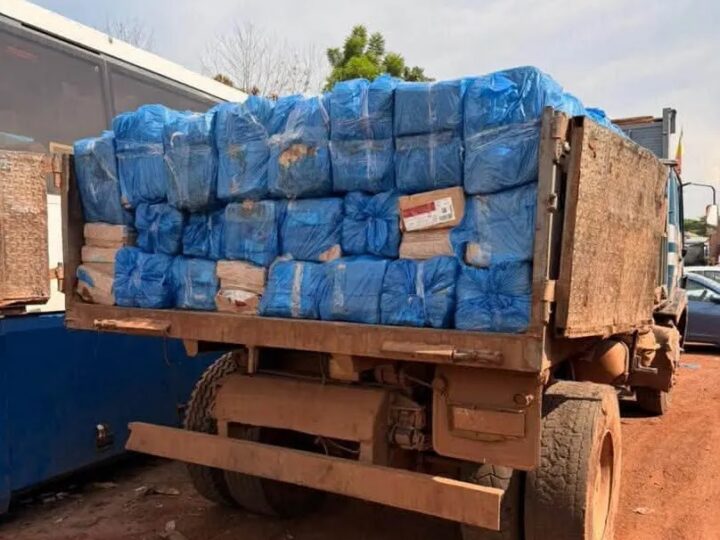 Bamako : saisie de 6 tonnes de viande de volaille avariée