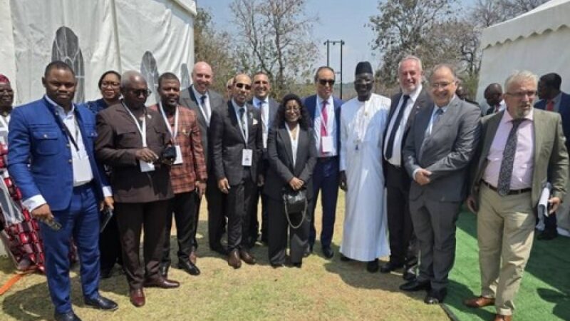 Sommet mondial du TNF au Zimbabwe : L’AICESIS apporte son expertise pour la promotion du Dialogue social